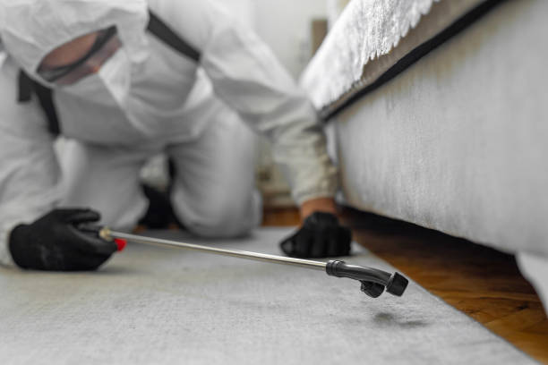Professional Termite Control technician working in Leonardo, NJ