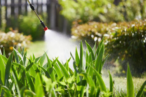 24/7 Emergency Termite Control experts in Leonardo, NJ
