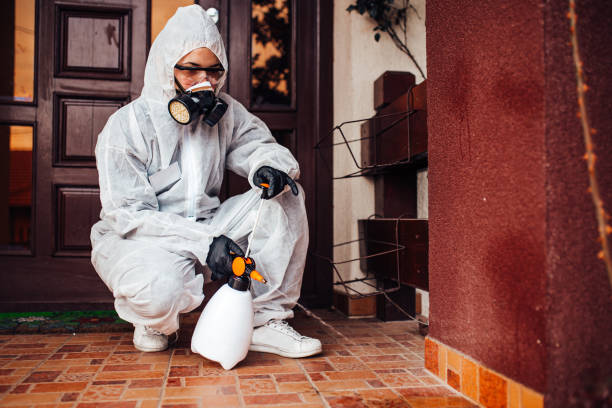Reliable Termite Control contractor in Leonardo, NJ by Nex Pest Control