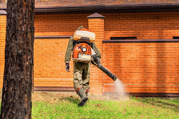 Top rated local Termite Control specialists in Leonardo, NJ